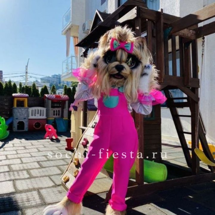 Аниматор Гламурная Собака в Калининграде
