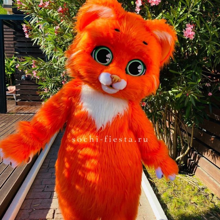 Аниматор Котик в Калининграде