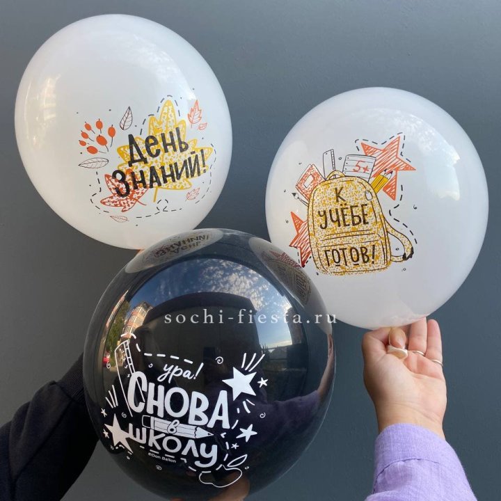 Воздушный шар к 1 сентября в Калининграде