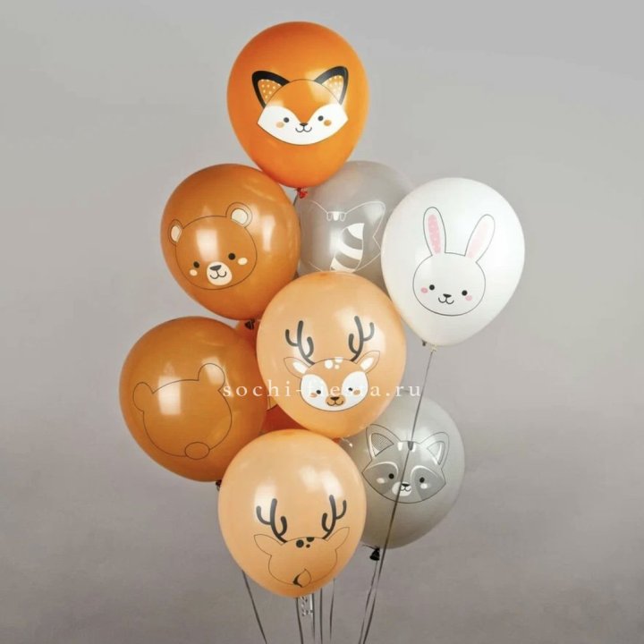 Воздушный шар "Животные" в Калининграде