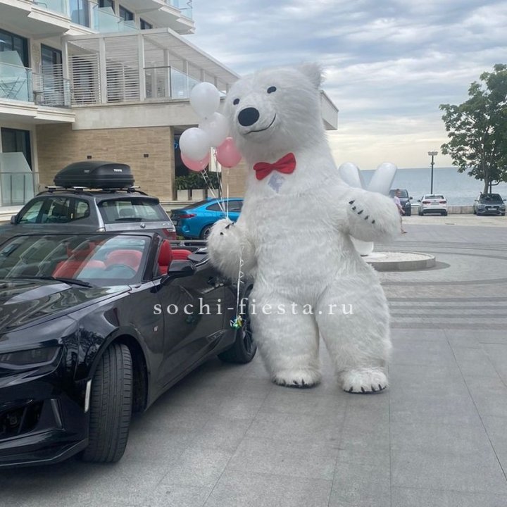 Аниматор Белый Медведь в Калининграде