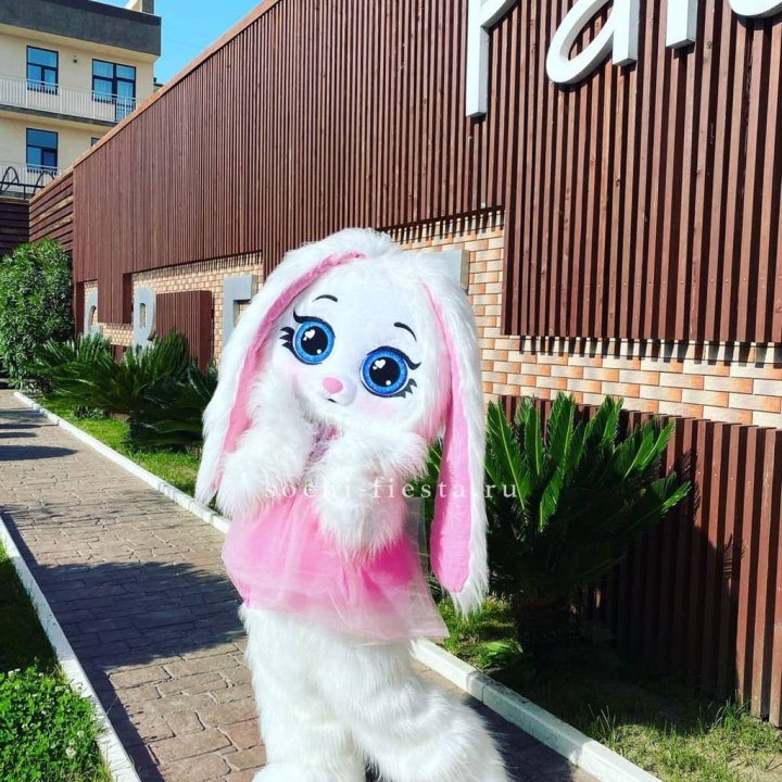 Аниматор Зайка в Калининграде