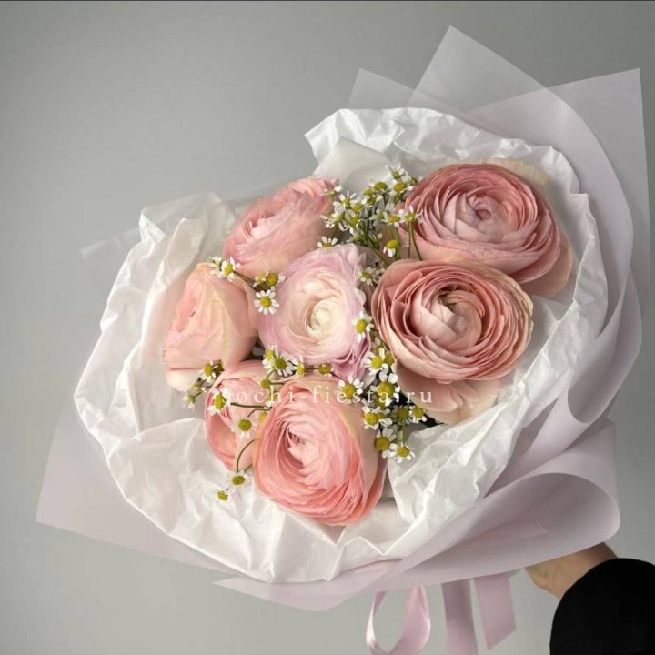 Ранункулюсы с ромашками в Калининграде