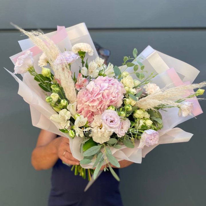 Гортензия "Пинк флоид" в Калининграде