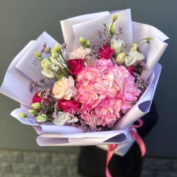 Гортензия "Перпил" в Калининграде