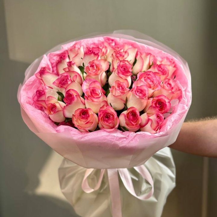 29 джумилий в Калининграде