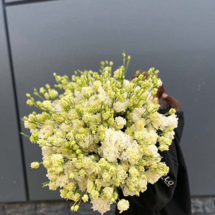 51 белая эустома в Калининграде