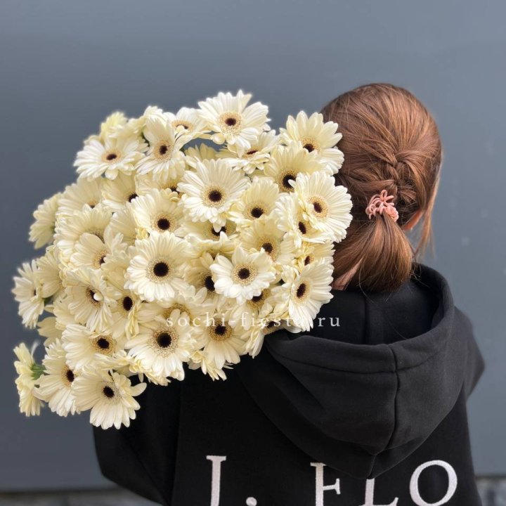 51 гербера в Калининграде