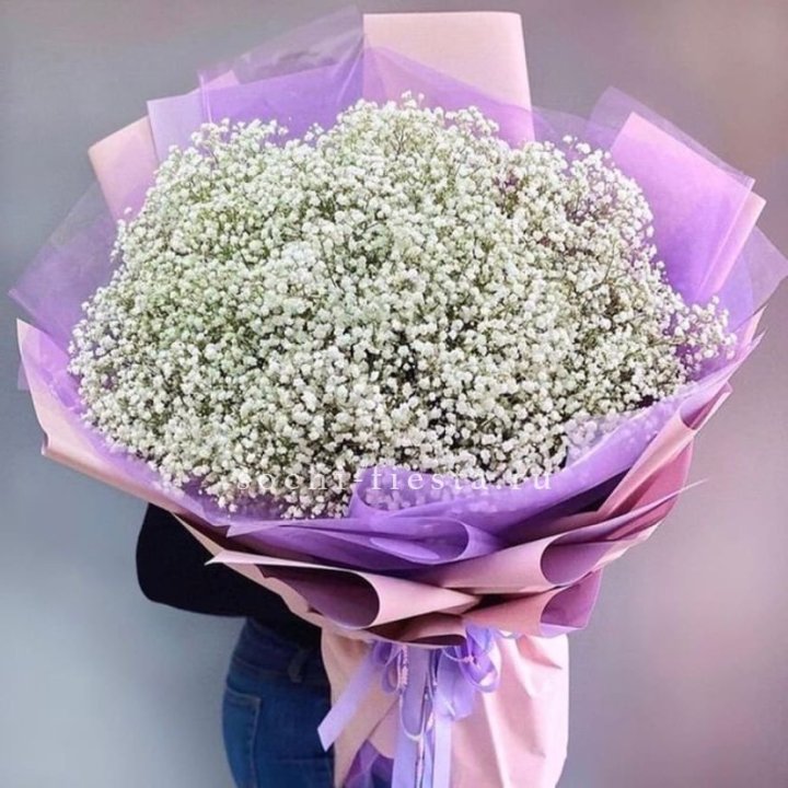 Облако белых гипсофил в Калининграде