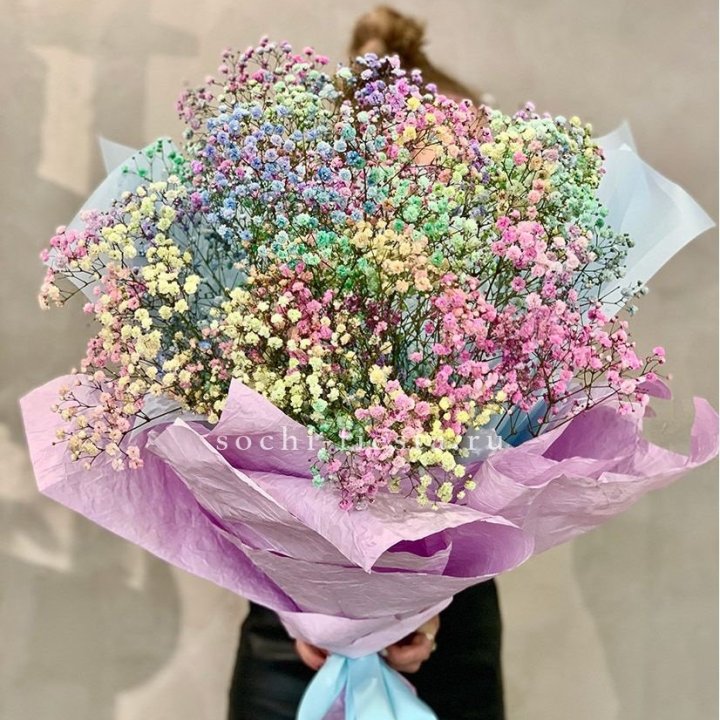 Радужные гипсофилы №2 в Калининграде