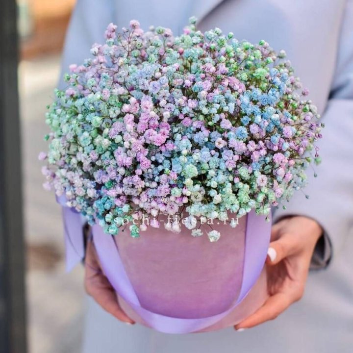 Гипсофилы в шляпной коробке "Кандилайт" в Калининграде