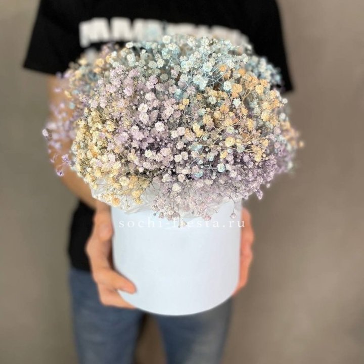 9 Радужных гипсофил в шляпной коробке в Калининграде