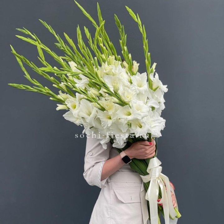 19 белых гладиолусов под ленту в Калининграде