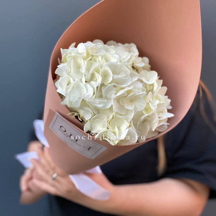 Гортензия в конверте в Калининграде