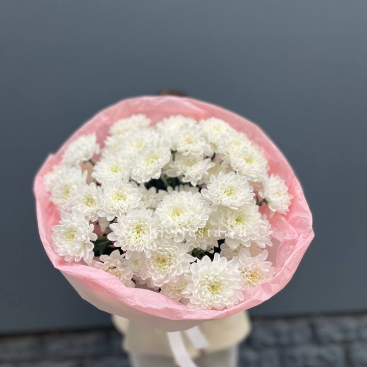  5 хризантем  в Калининграде