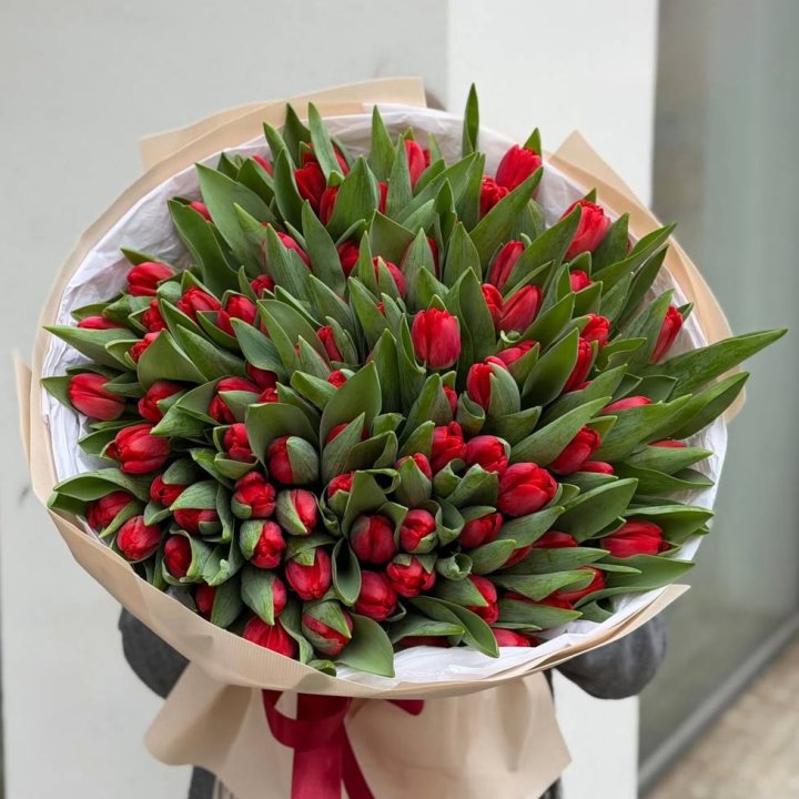 101 красный тюльпан в Калининграде