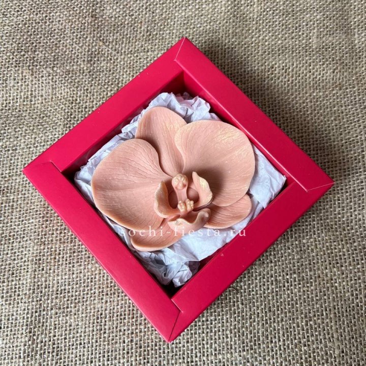 Бельгийский шоколад Орхидея в Калининграде