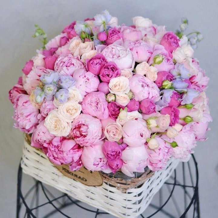 Композиция "Черри" в Калининграде