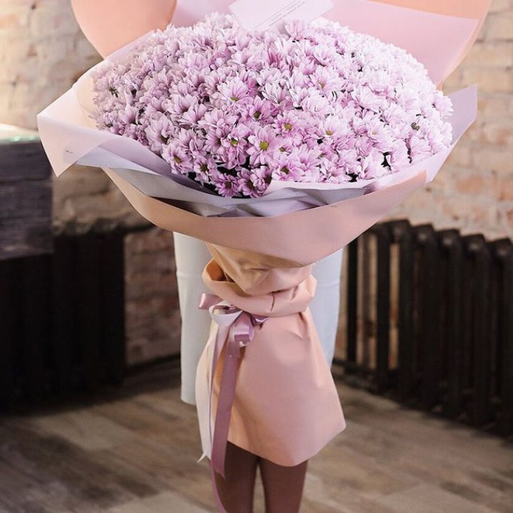 Облако хризантем №1 в Калининграде