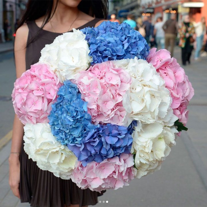 Букет гортензий "Инь-Янь" в Калининграде