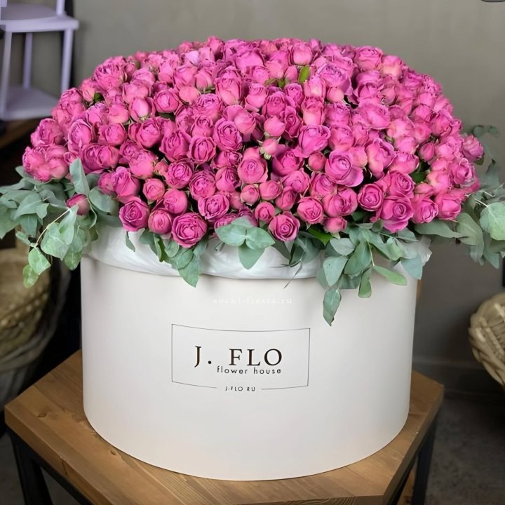 Цилиндр с Мисти Бабблс  в Калининграде