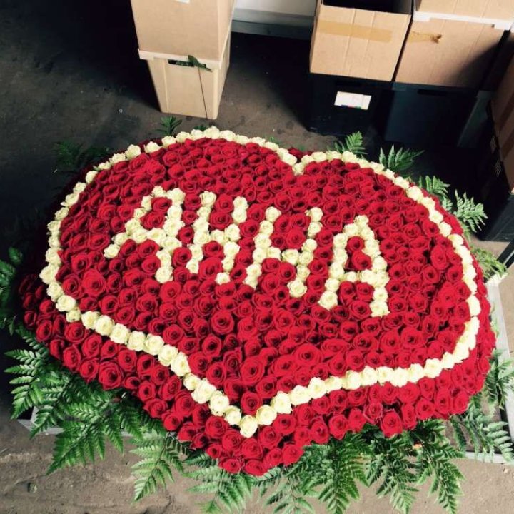 555 роз с именем в Калининграде