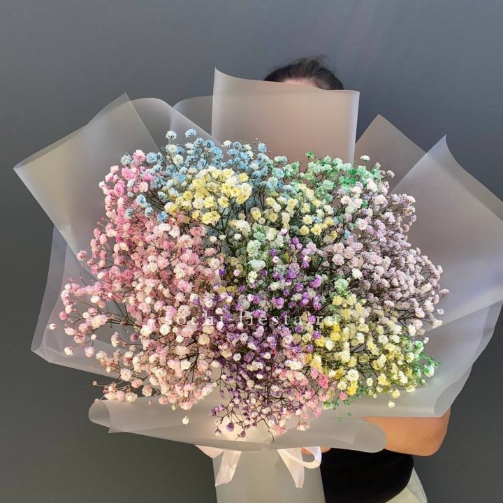 Радужные гипсофилы  в Калининграде