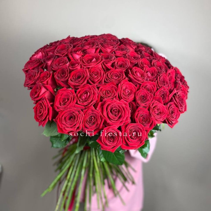 101  голландская роза  в Калининграде