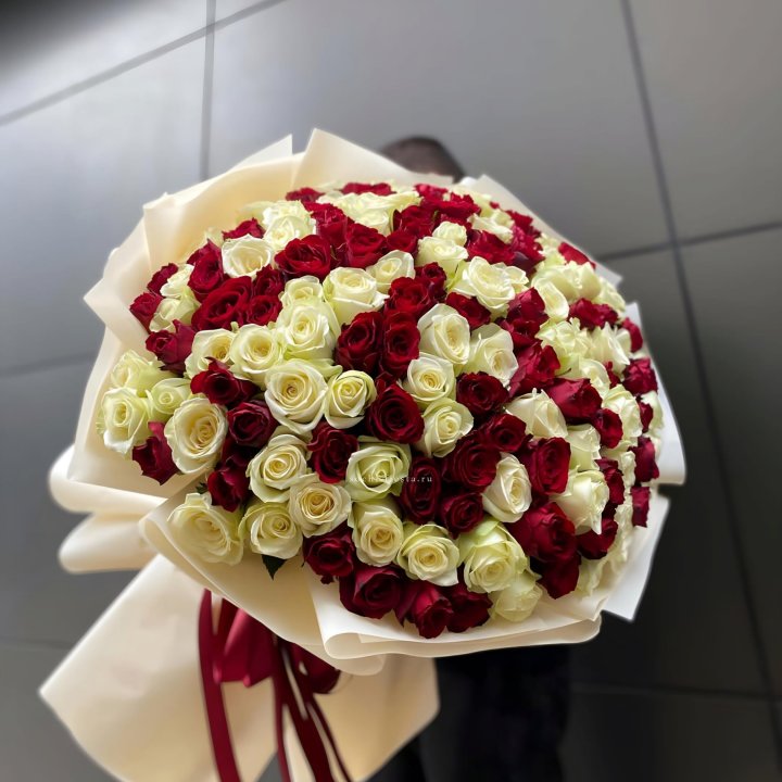 101 высокая импортная роза  в Калининграде