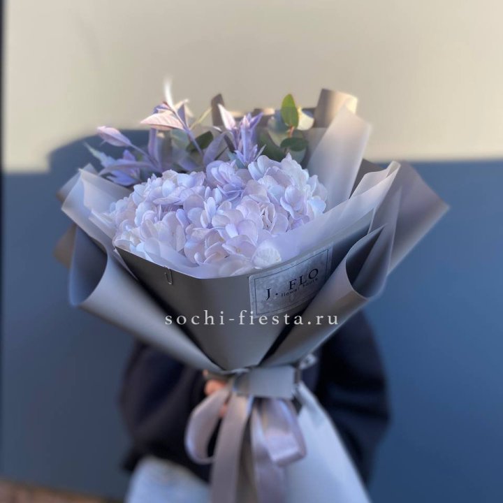 Гортензия "Виолета" в Калининграде