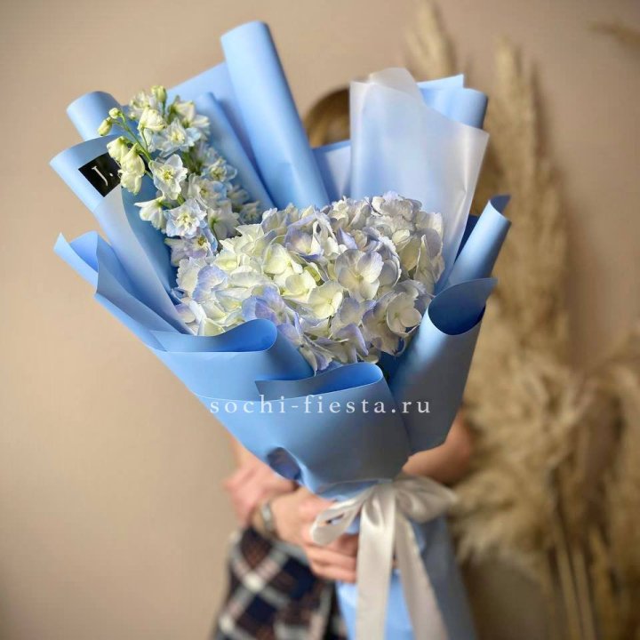 Гортензия "Блю скай" в Калининграде