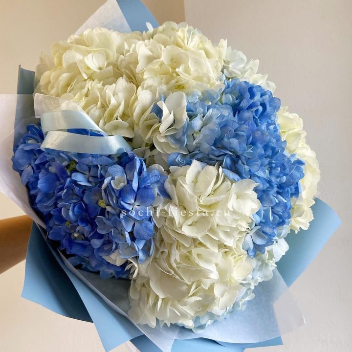 Букет гортензий "Голубая лаза" в Калининграде