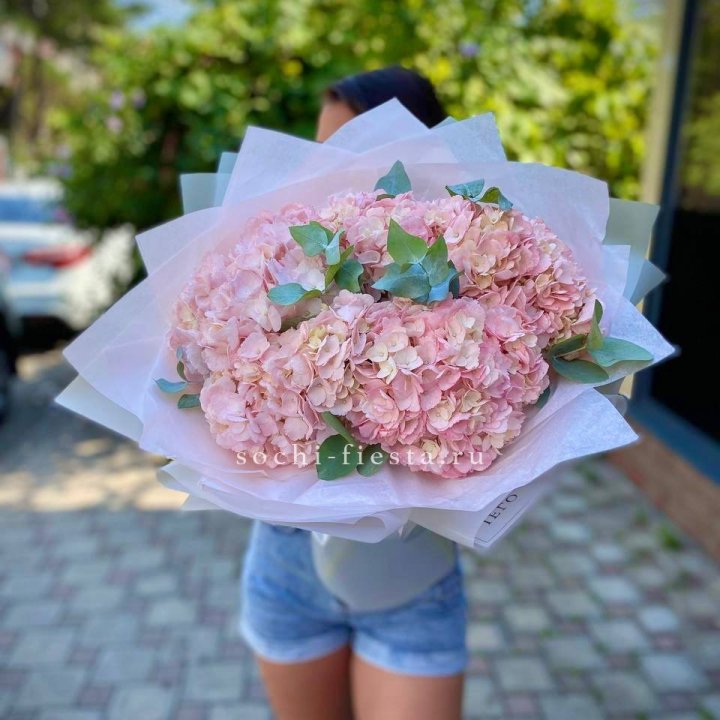 5 розовых гортензий  в Калининграде