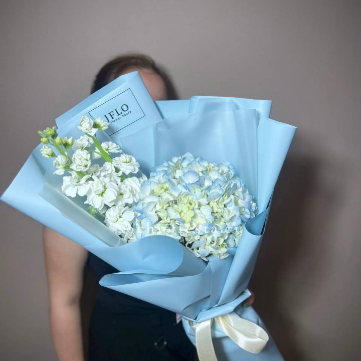 Гортензия голубая с маттиолой в Калининграде