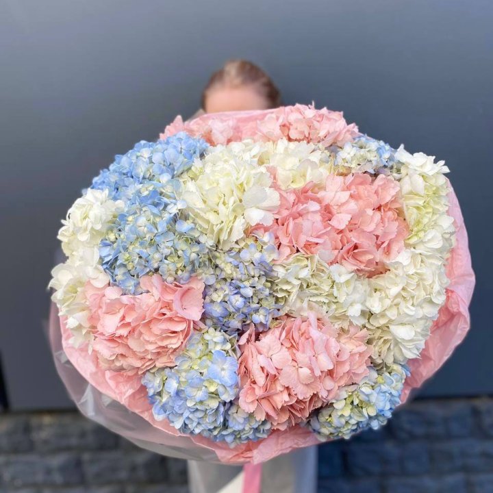 19 гортензий микс в Калининграде