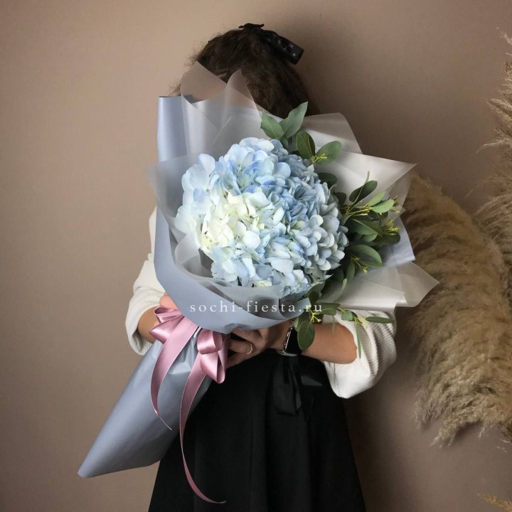 Гортензия Уно в Калининграде