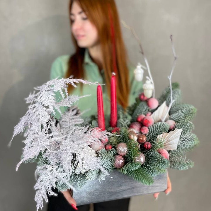 Бокс красный с нобилисом в Калининграде