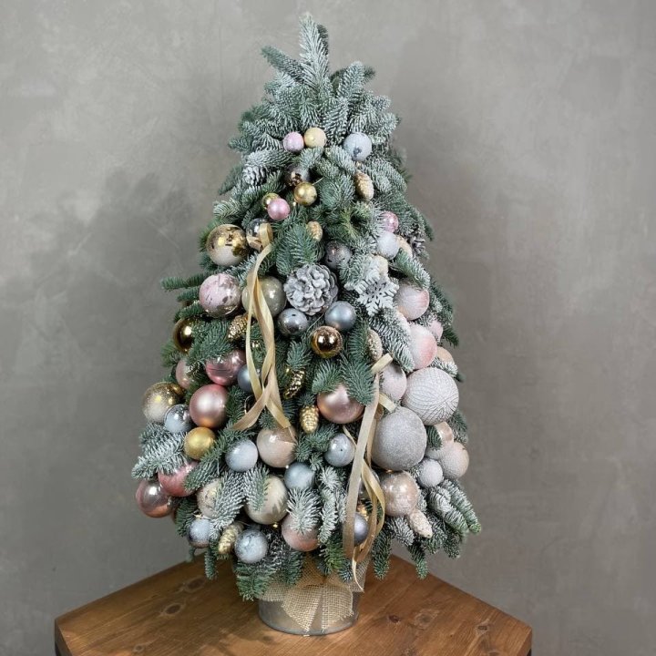 Новогодняя ёлка из веток датского нобилиса в Калининграде