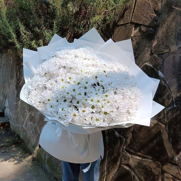 Облако хризантем №2 в Калининграде