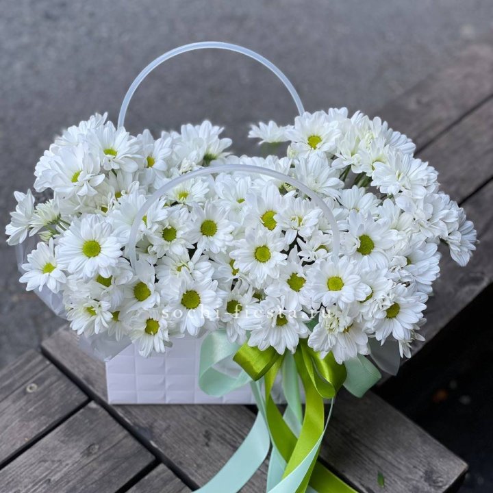 Сумка с хризантемами ромашками в Калининграде