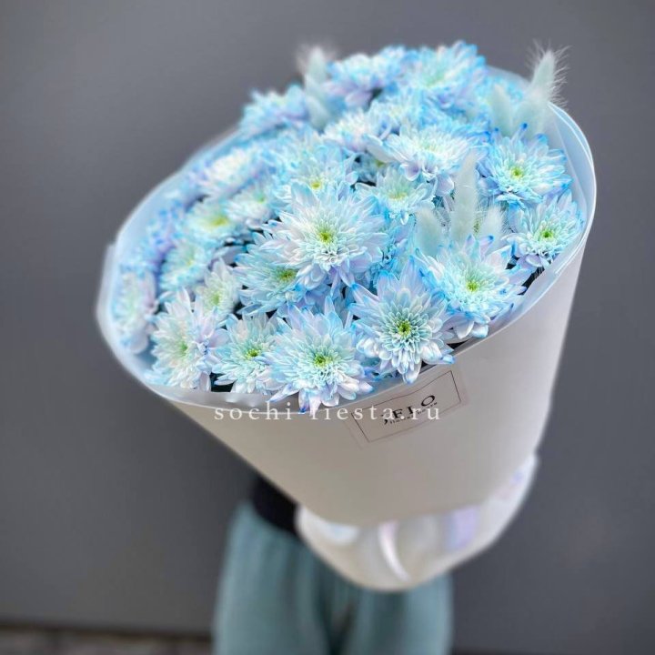  Букет нежно-голубых хризантем  в Калининграде