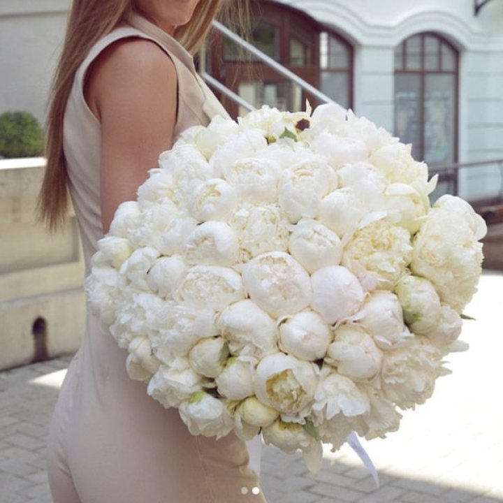 51 белый пион в Калининграде