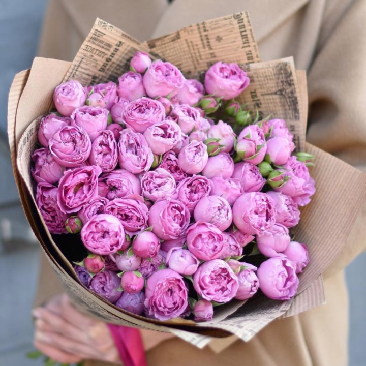 Роза Мисти Баблс в Калининграде