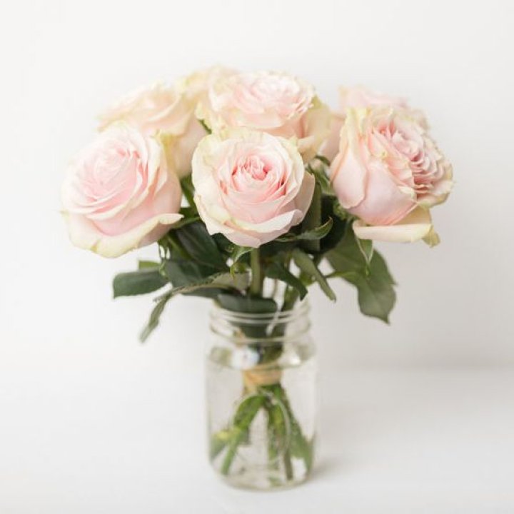 7 кремовых роз в Калининграде