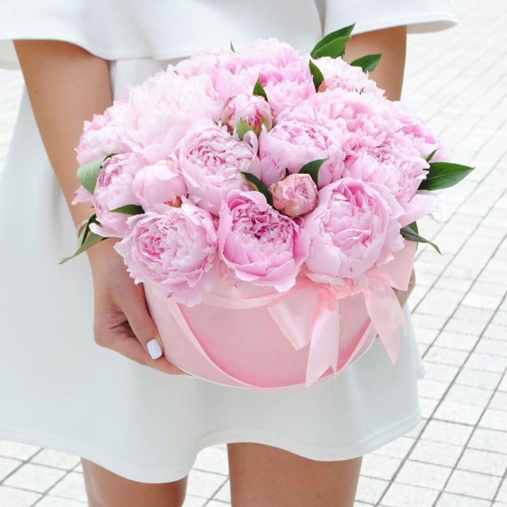 Пионы в шляпной коробке в Калининграде