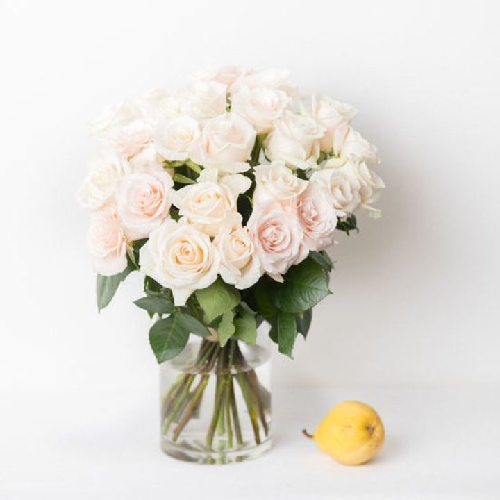 25 кремовых роз в Калининграде