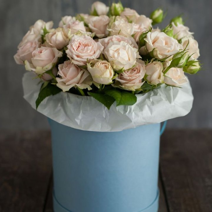 Бокс с бомбастиком в Калининграде