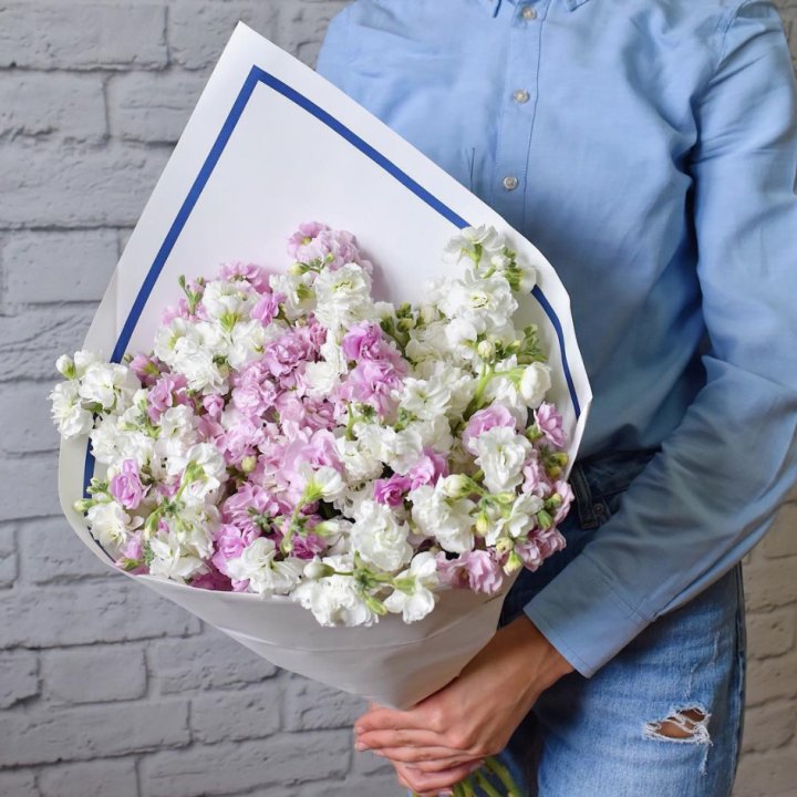 Маттиола в Калининграде