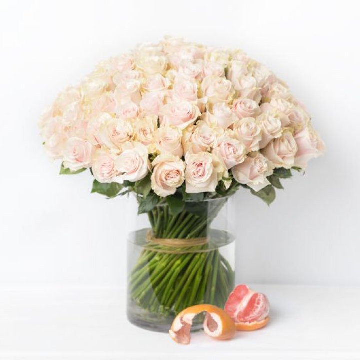 101 кремовая роза в Калининграде