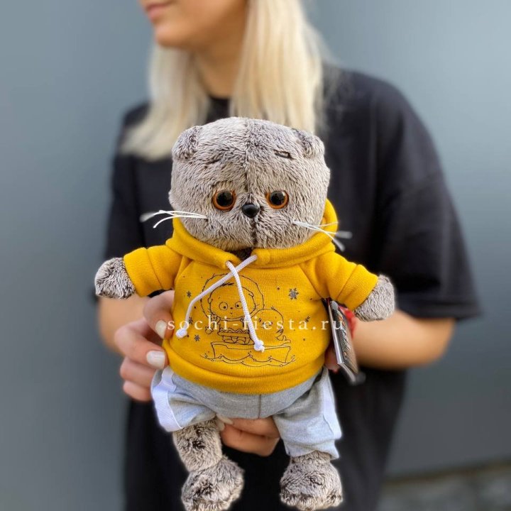 Кот Басик в худи в Калининграде